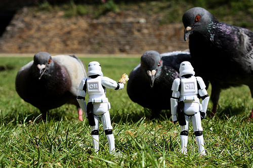 storm troopers i det fri
